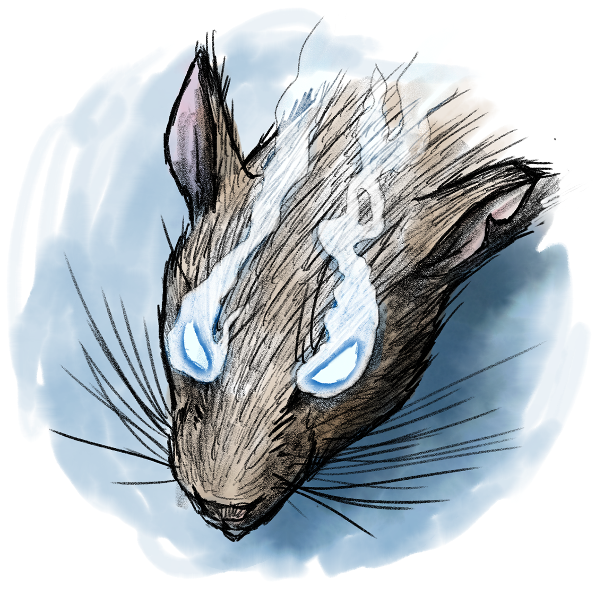Rat